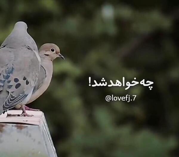 عکس نوشته ناب و آموزنده