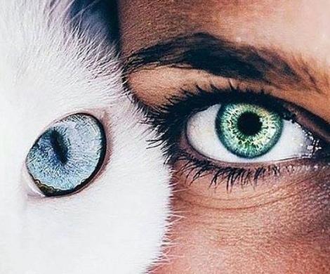 عکس یک چشم برای پروفایل