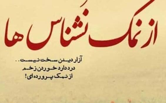 عکس پروفایل رفیق نمک نشناس