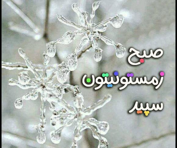 عکس زمستان صبح