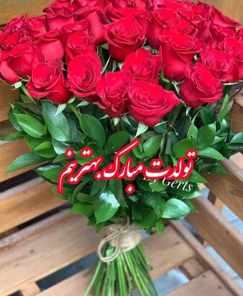 عکس های نزدیک تولد