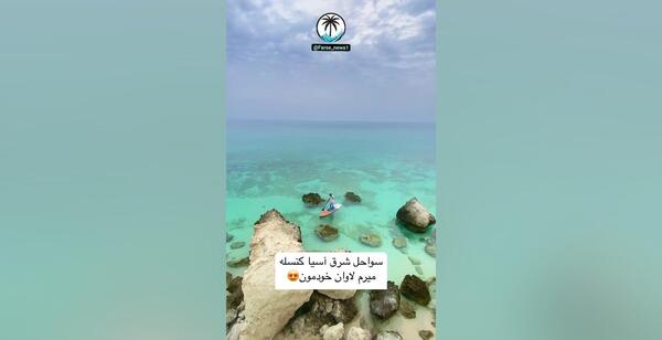 عکس مومو نهنگ