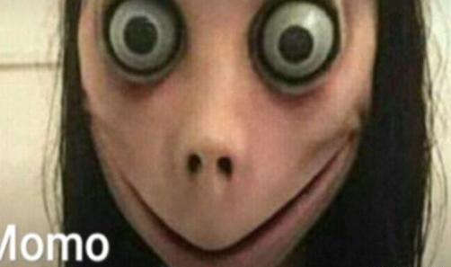 عکس مومو نهنگ
