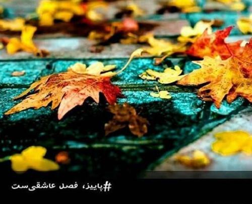 عکس پاییزی شعر