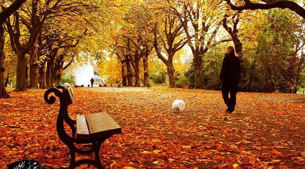 عکس مناظر پاییزی زیبا