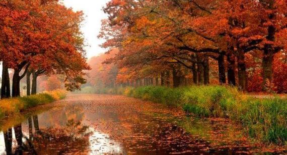 عکس مناظر پاییزی زیبا