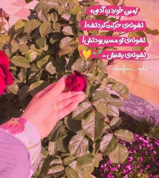 عکس دخترانه ی جذاب برای پروفایل