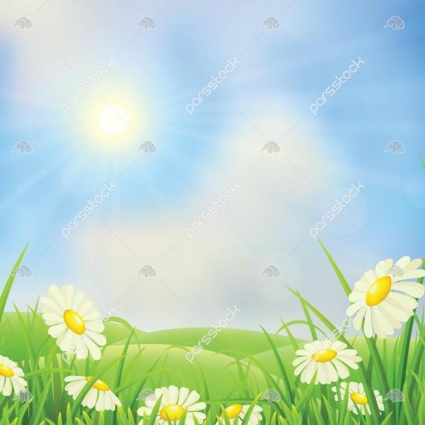 عکس منظره چمنزار