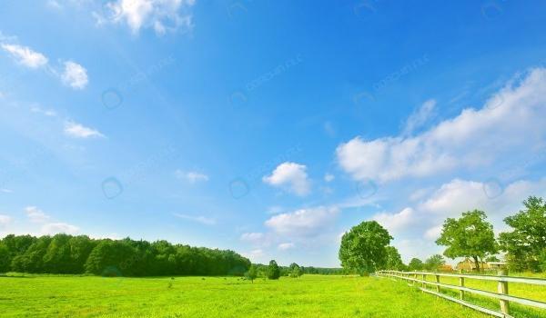 عکس منظره چمنزار