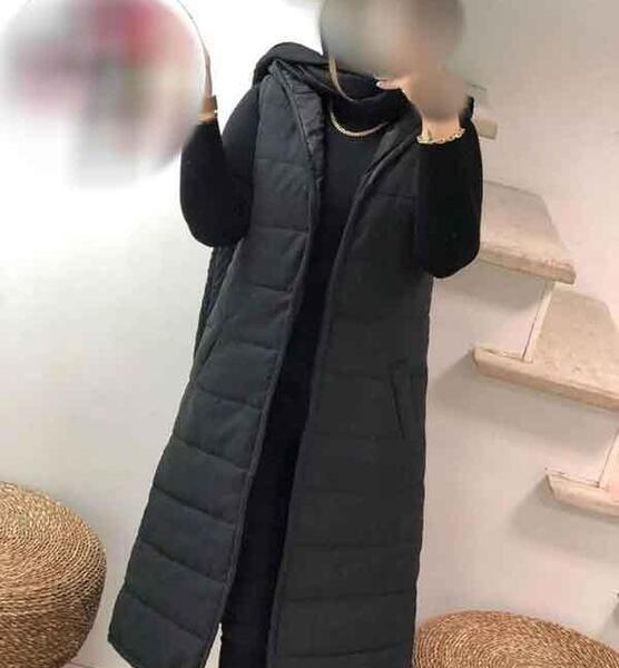عکس پافر سیاه