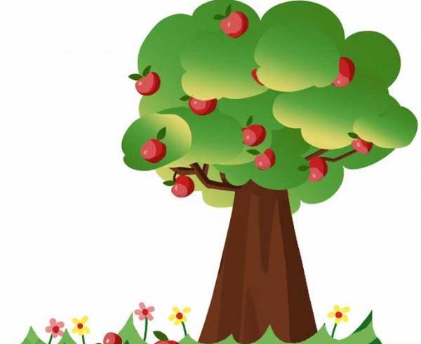 عکس نقاشی ساده سیب