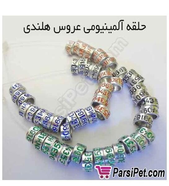 عکس حلقه عروس هلندی