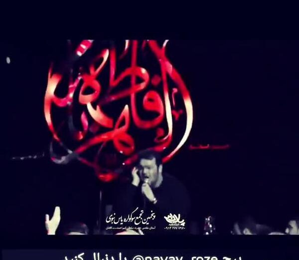 عکس استوری واتساپ حیوانات