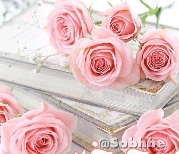 عکس صبح بخیر خواهرانه