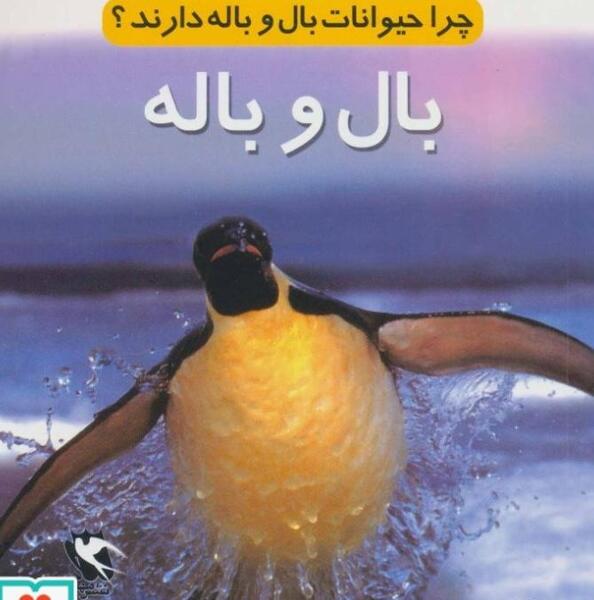 عکس لباس سگ پشمالو