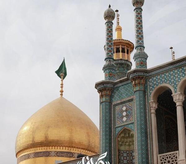 عکس لباس سگ پشمالو