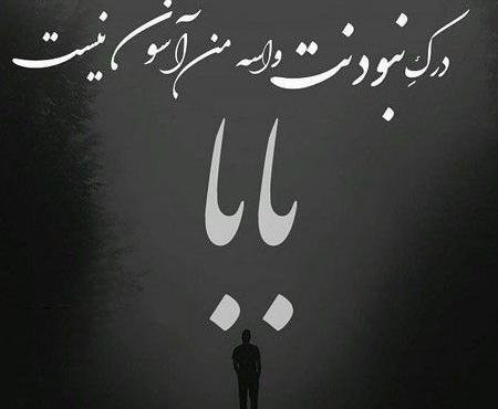 عکس لباس سگ پشمالو
