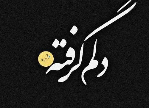 عکس نوشته بی صدا رفتن