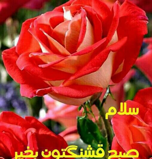 عکس نوشته صبح بخیر روز سه شنبه