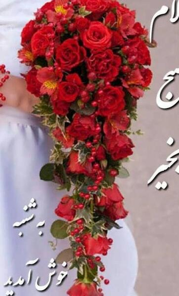عکس نوشته صبح بخیر روز سه شنبه