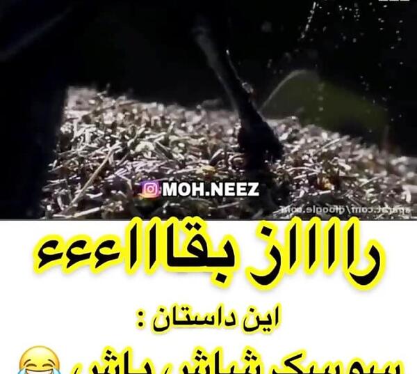 عکس خودکشی جوکر