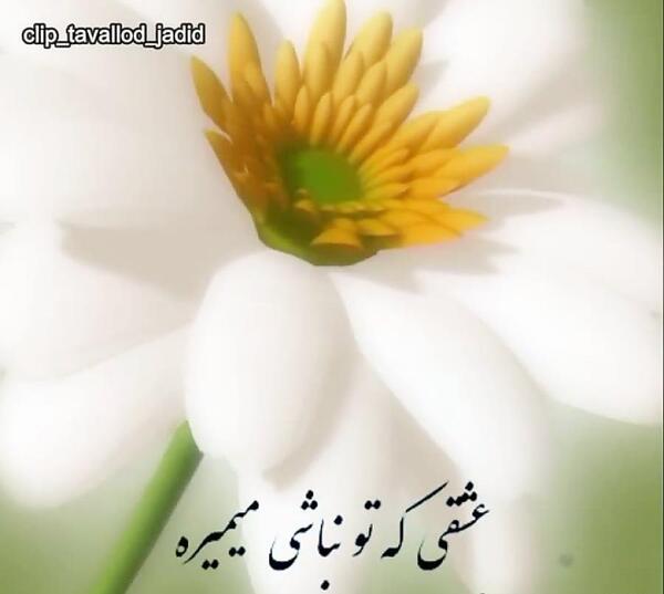 عکس سالگرد دوستیمون مبارک عشقم