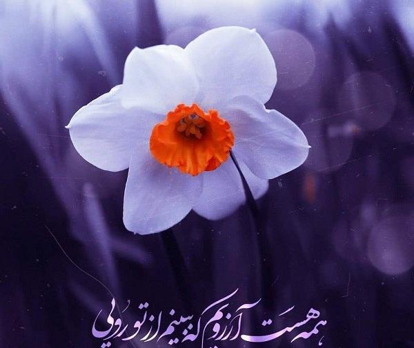عکس از امام زمان پروفایل
