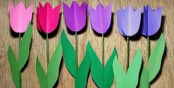 عکس گل لاله روی مقوا