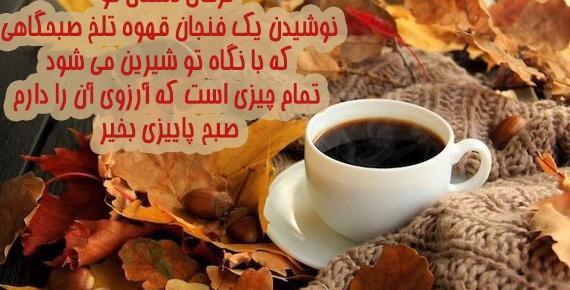 عکس رونالدو روی جام جهانی
