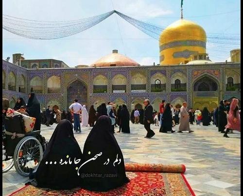 عکس حرم امام رضا و دختر چادری