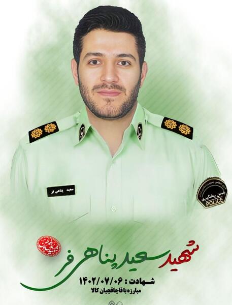 عکس شاهین پناهی