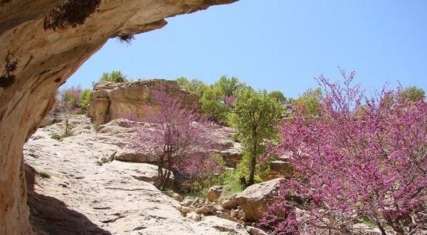 عکس طبیعت ایلام