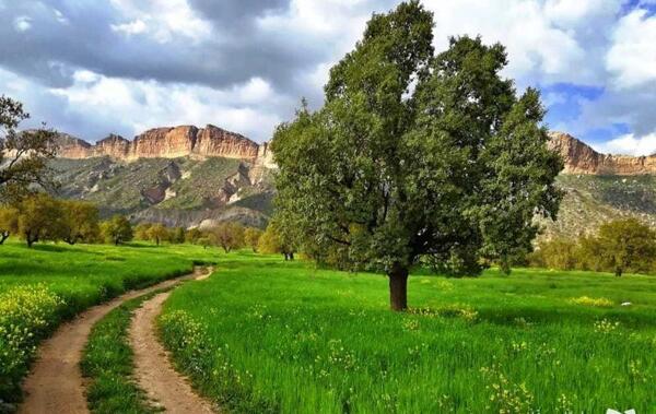 عکس طبیعت ایلام