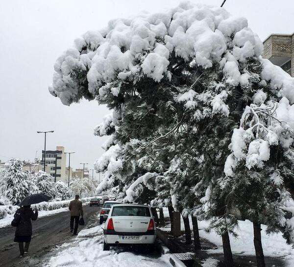 عکس برف پاییزی