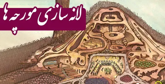 عکس ساختمان چشم علوم پنجم