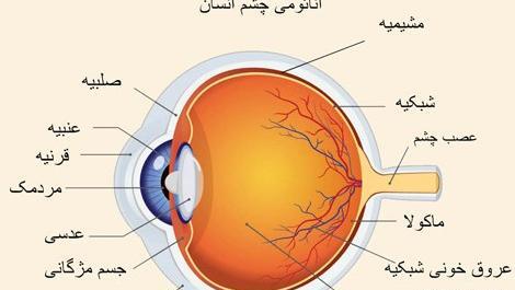 عکس ساختمان چشم علوم پنجم