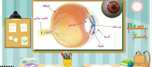 عکس ساختمان چشم علوم پنجم