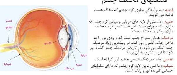 عکس ساختمان چشم علوم پنجم