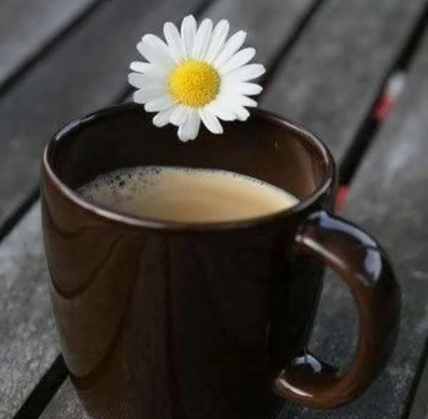 عکس نوشته گل شاد