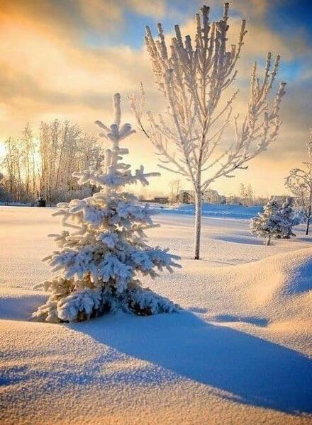 عکس زیبای طبیعت برفی و زمستانی