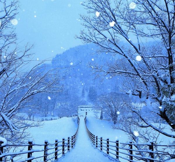 عکس زیبای طبیعت برفی و زمستانی