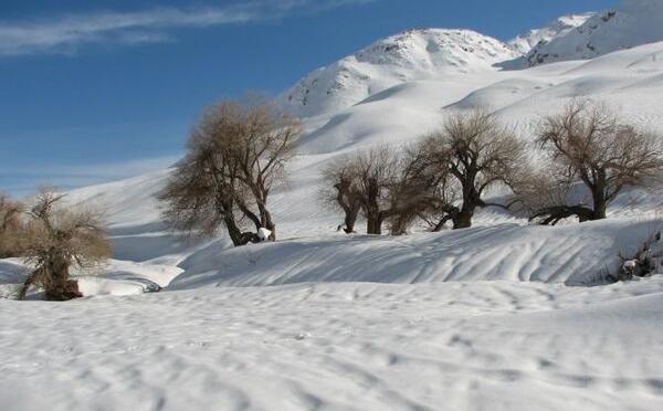 عکس زیبای طبیعت برفی و زمستانی