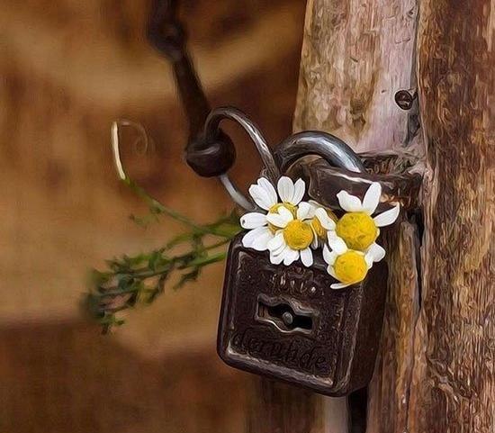 عکس نوشته شده ارزو