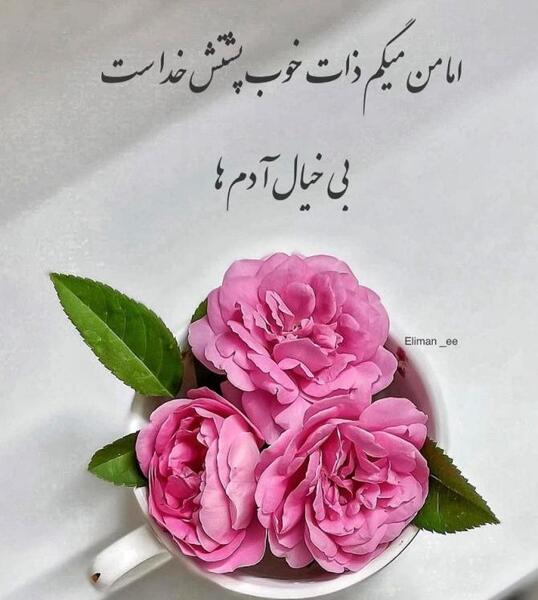 عکس نوشته ذات خوب داشتن