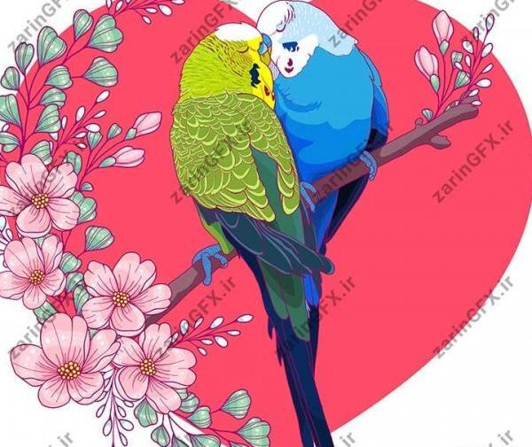 عکس مرغ عشق فانتزی