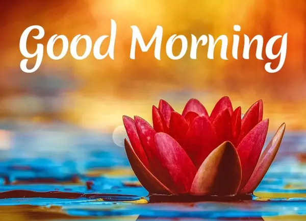 عکس نوشته های متحرک صبح بخیر
