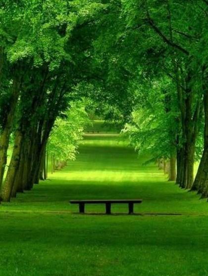 عکس نوشته سلام صبح شنبتون بخیر