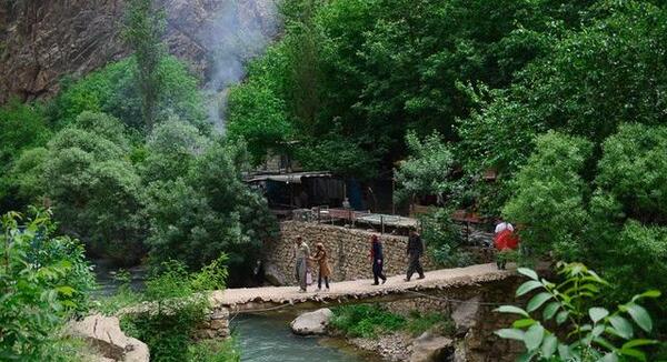 عکس از طبیعت پالنگان