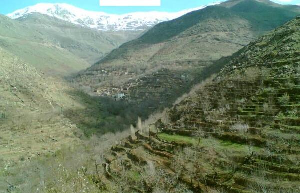 عکس از طبیعت پالنگان