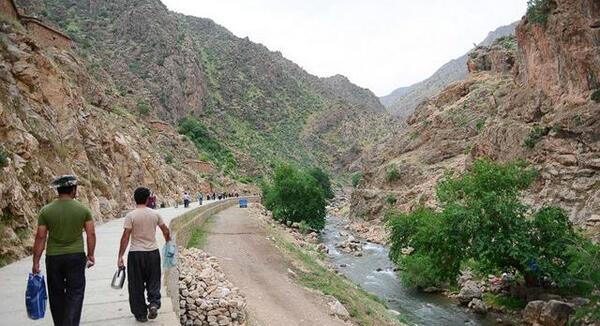 عکس از طبیعت پالنگان